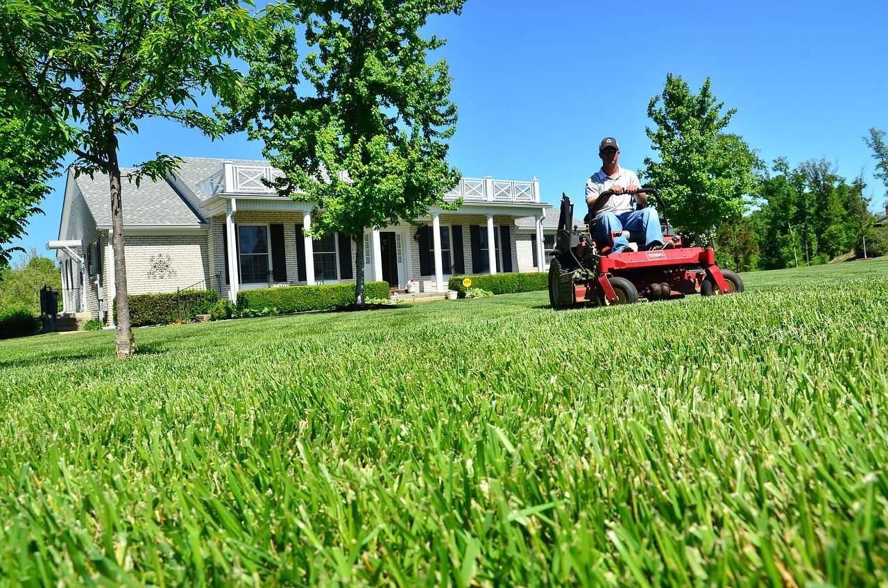 Eco-Friendly Lawn Care