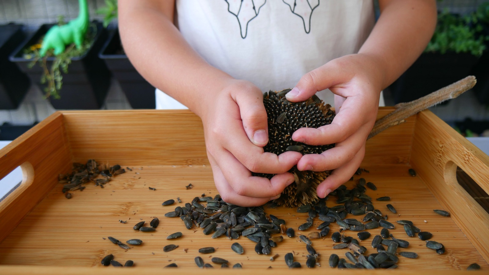 Seed Saving