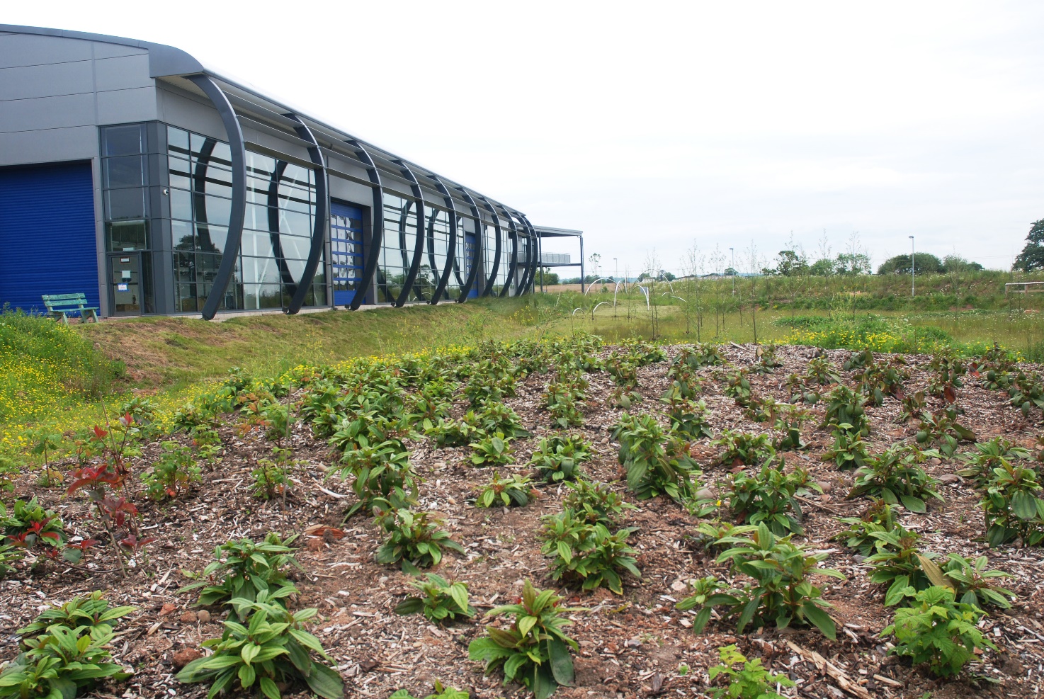 The Essentials Of Sustainable Planting