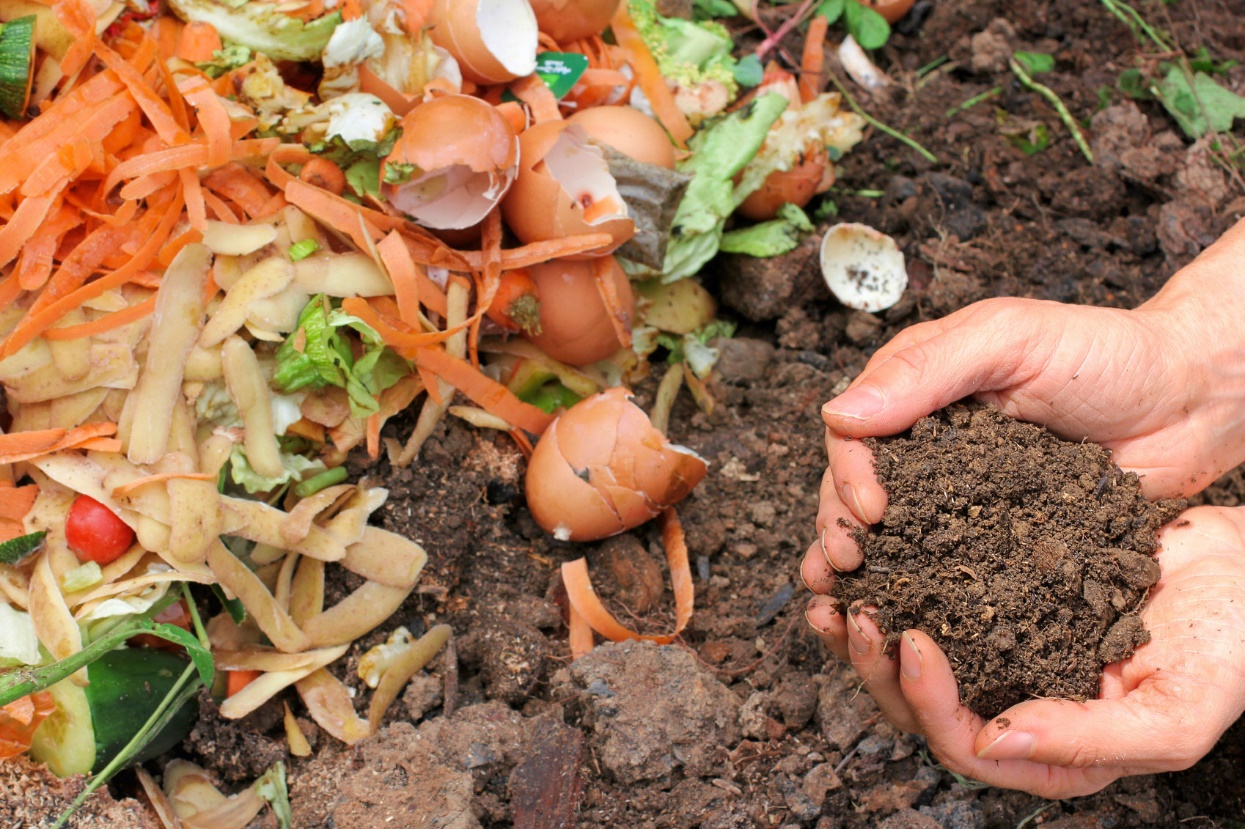 Use Of Compost