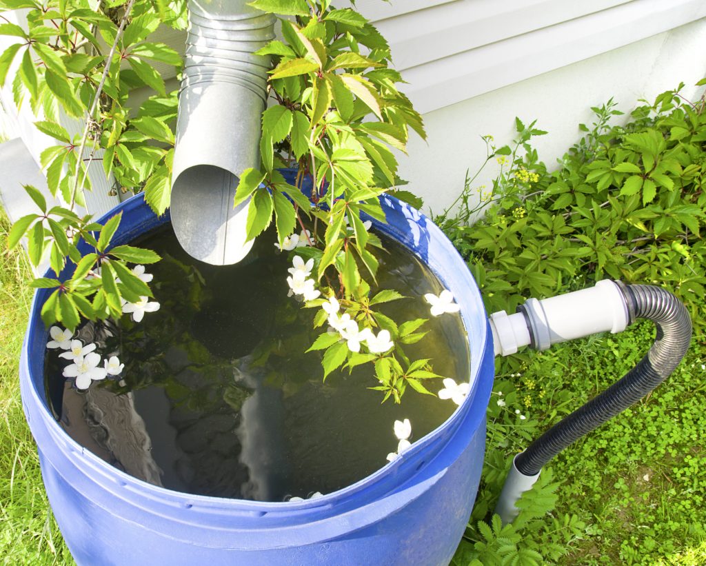 Water-saving Gardening Methods