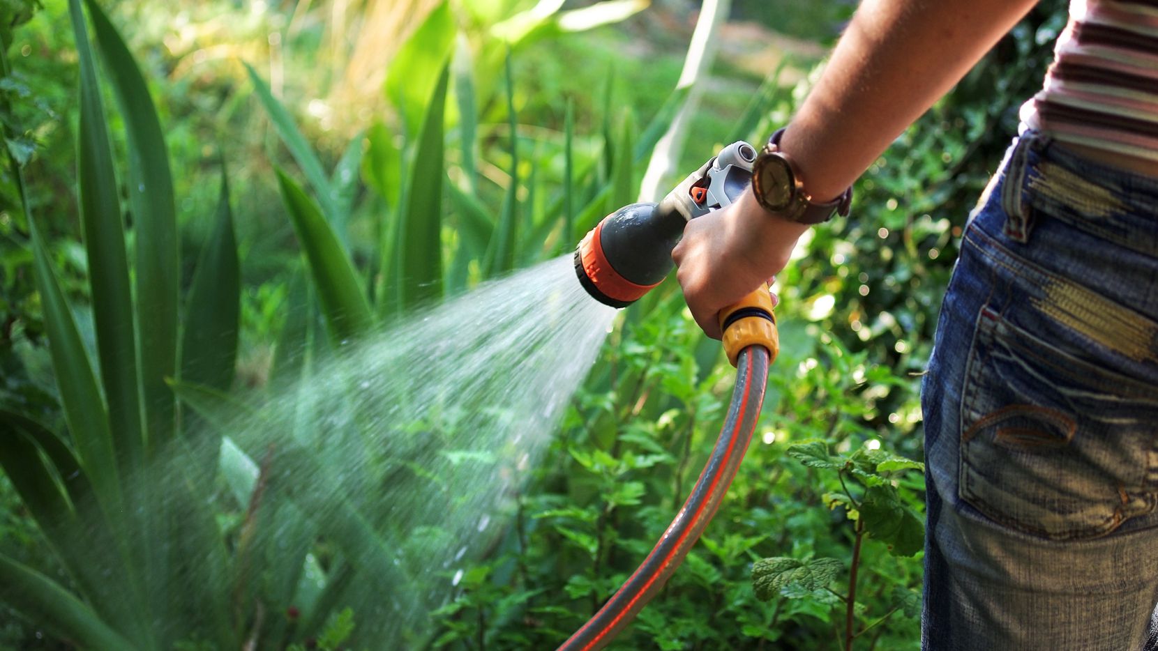 Watering sustainable garden